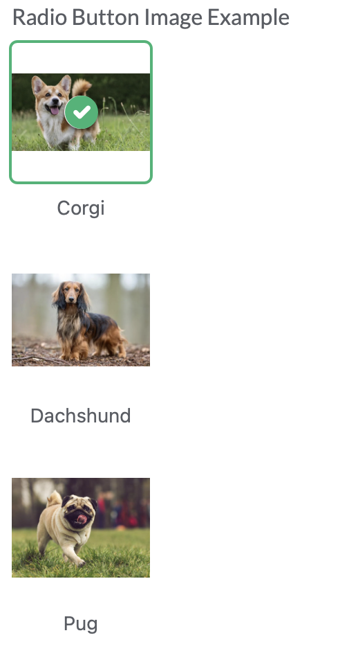 Screenshot 2024-01-25 at 11.50.34 AM.png